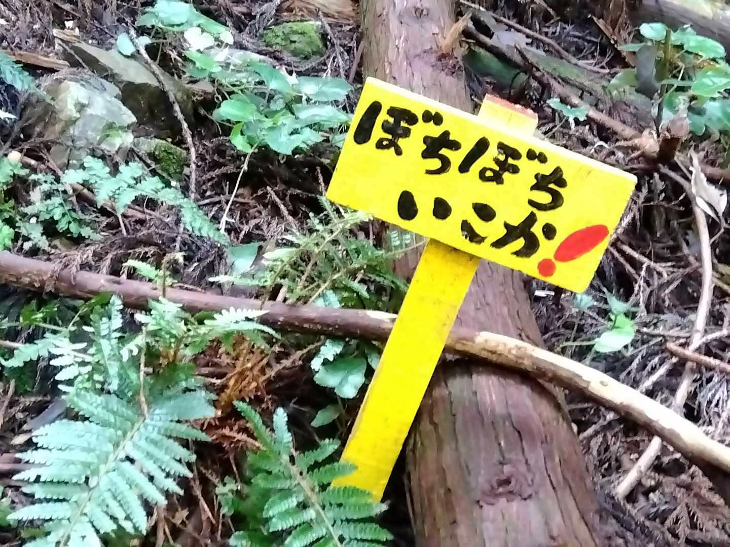 ハイ‼️