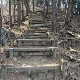 本当ならこの階段だけだったのに🤣
吾妻山へ戻ります