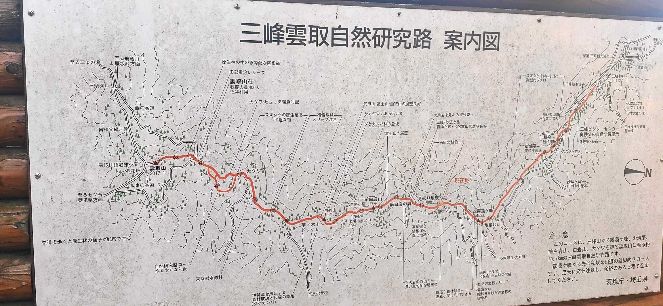 白岩山-前白岩山-お清平-霧藻ヶ峰-地蔵峠-三峰ビジターセ 縦走コースの写真