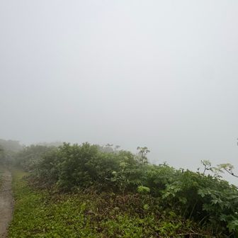 昨日にも増して白い。