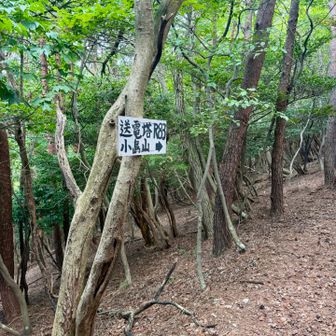 重い身体に鞭打ち、小島山を目指します。