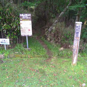 峰越峠にある白鳥山登山口からスタート🚶