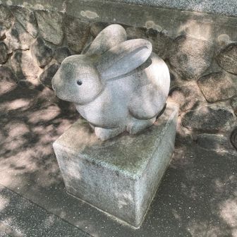 うさぎ🐇
