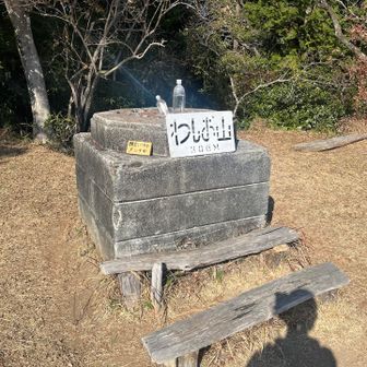 顔出しパネルが気になる