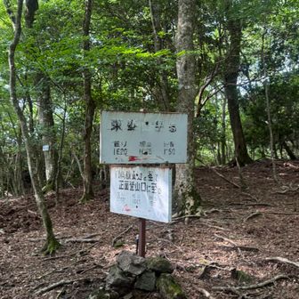 山頂へ