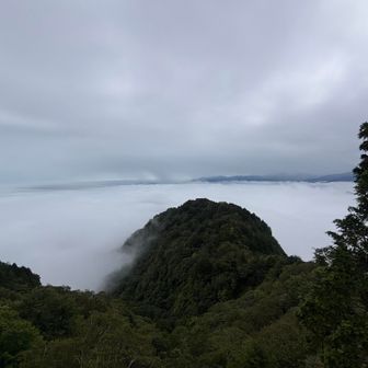 雲海☁️