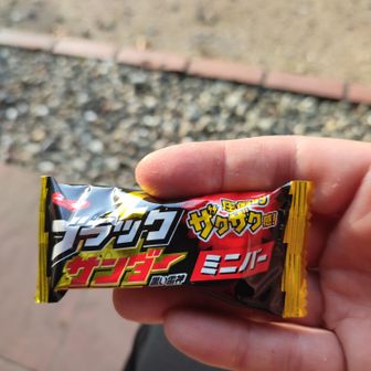 胃袋に黒い稲妻をぶち落とす⚡️