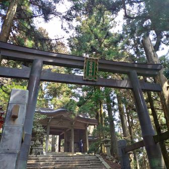 常連さんグループに挨拶してお詣りへ⛩️
と思ったら色々とお裾分け頂き談笑♪
満腹でお詣りへ🙏⛩️