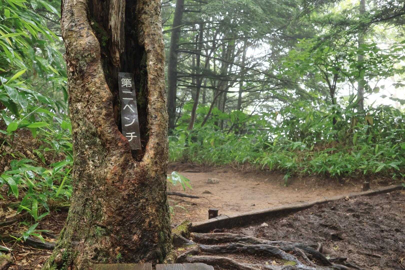 蒸し蒸しであっつい🤣
カッパ着てたけど
すでに第一ベンチまでに脱いだ🤣