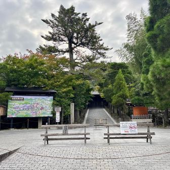 銀閣寺の裏に登山口があります