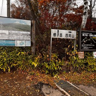 登山口から根子岳経由で行きます🥾
まだ雨は降ってないよ