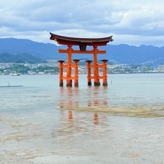 なんだかすごい勢いで潮が引きてる
