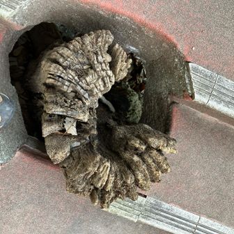 これ、スゴいね😳