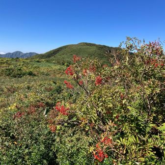 秋🍂始まってます