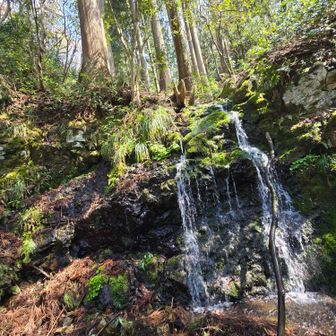 また登山道からそれて
ちょっと滝の方へ…😅