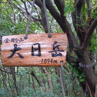 急にこちらに舵をきり太尾道〜😅