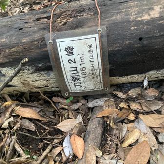 2峰は倒れてる…