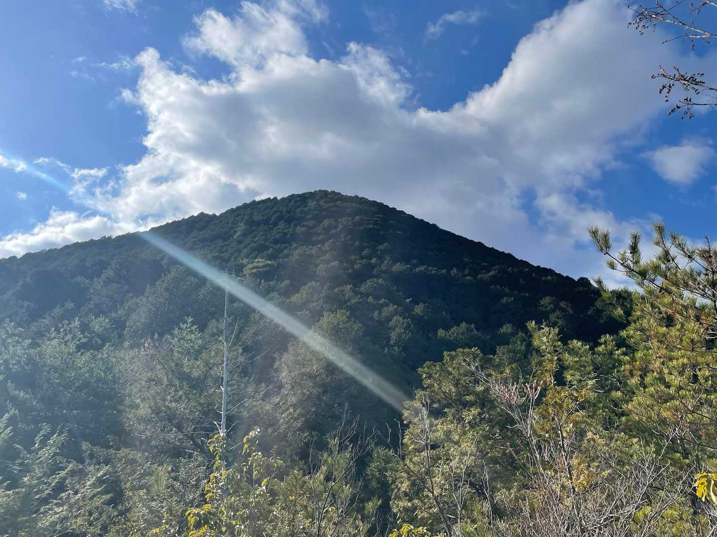 振り返って見える三上山⛰️