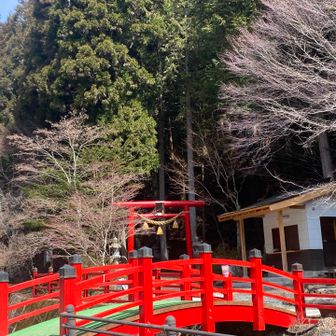 鳥居が見えました⛩️