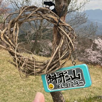 今日もありがとうございます🎶