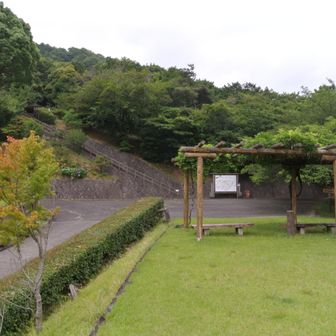 美味しい森広場
