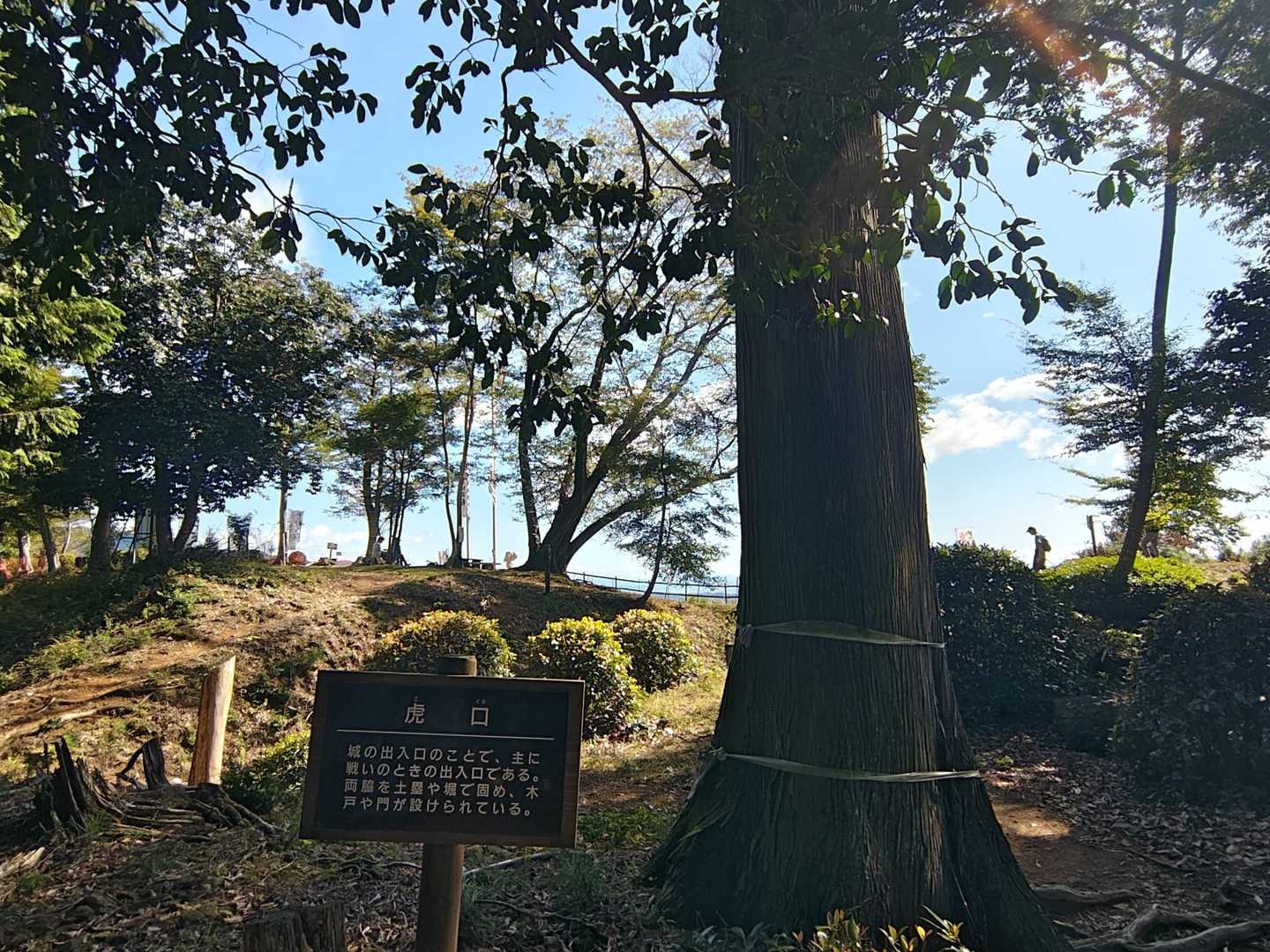 菩提山 往復コースの写真