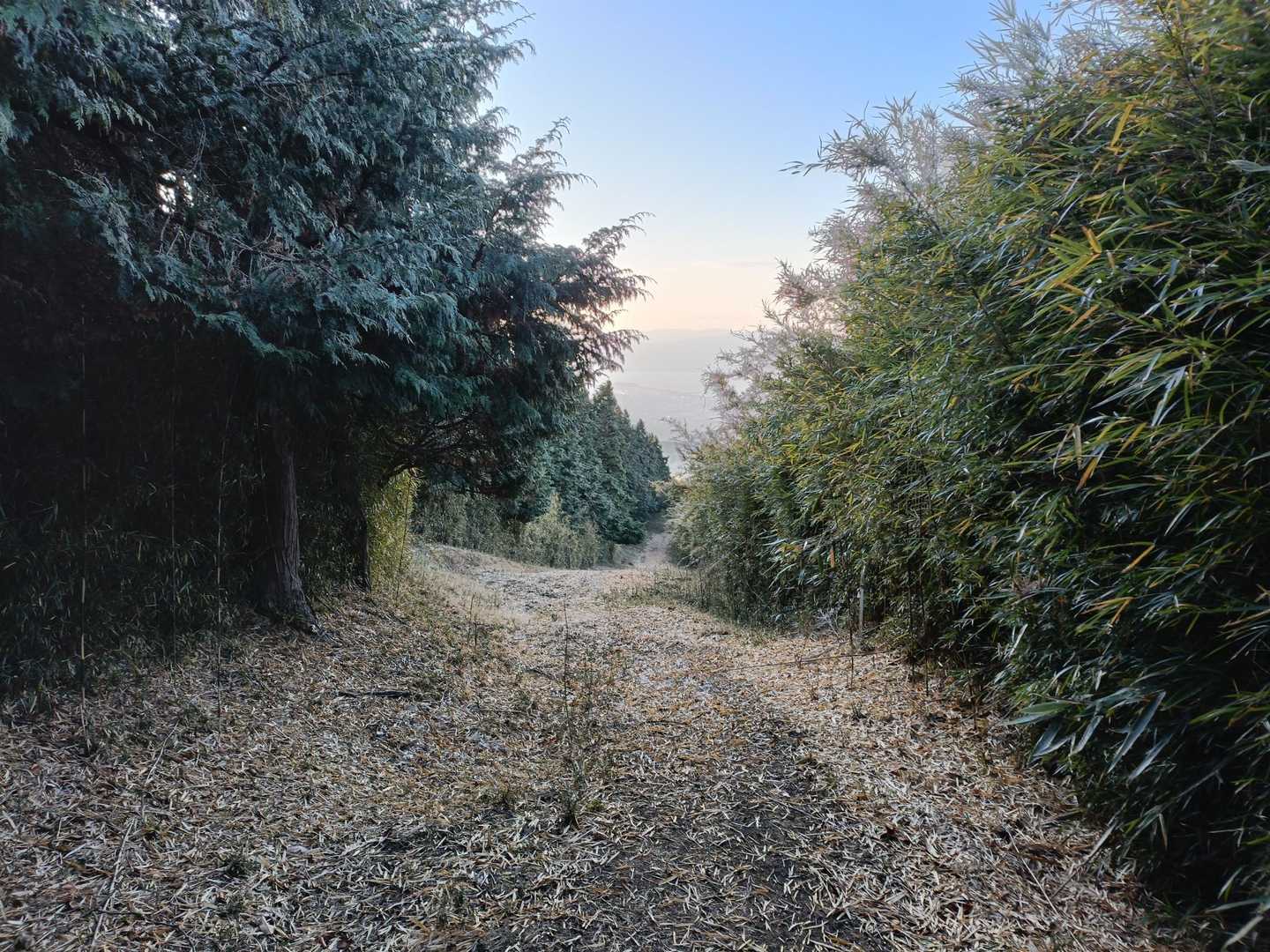 池の平 往復コースの写真