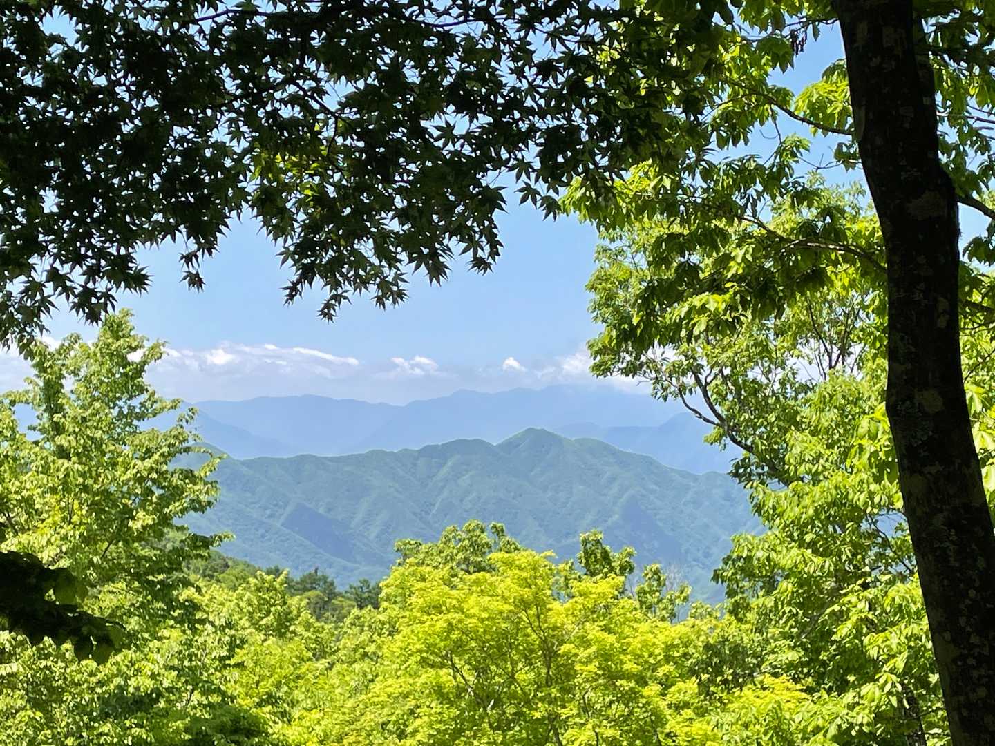 滝戸山登山口-滝戸山 往復コースの写真