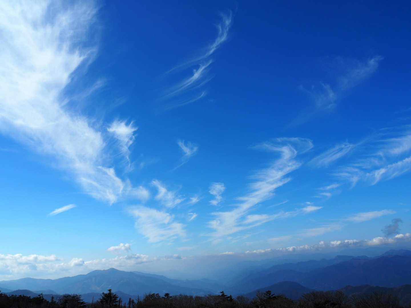いい天気でした～