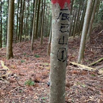 この先山頂までどう行くのか