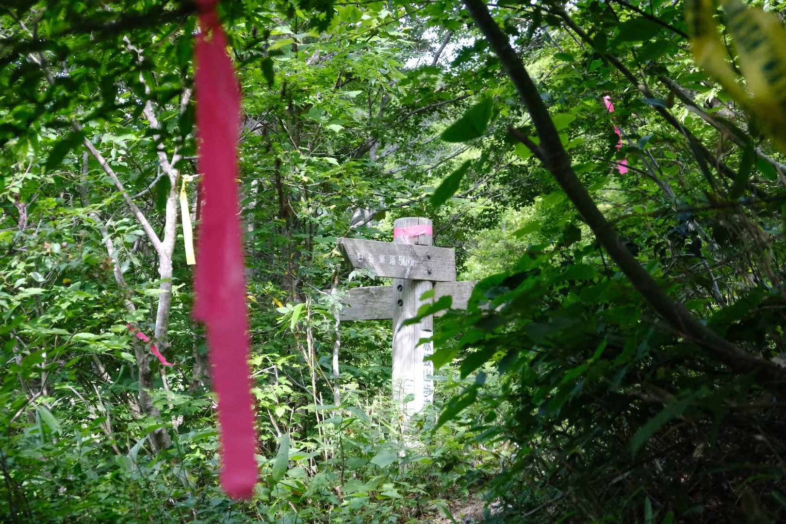テープや看板がしっかりあります。