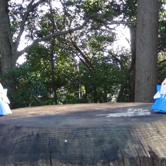 切り株アートも風で退避