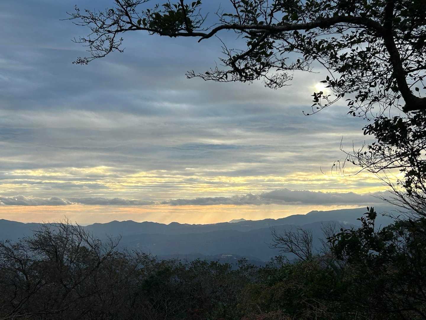 だるま山高原レストハウスバス停-金冠山 往復コース
の写真
