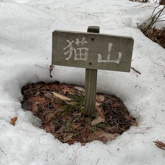 最初のピーク「猫山」
この後、五十公野山へのルートが探せずウロウロ😅
雪上にあるトレースがヤマップが示すルートと若干ずれていて…🤨
幸いにもスライドした方から教えていただきました。
「結構歩くよー」とのお言葉に…「はーい！とりあえず行ってみまーす」と前進👍