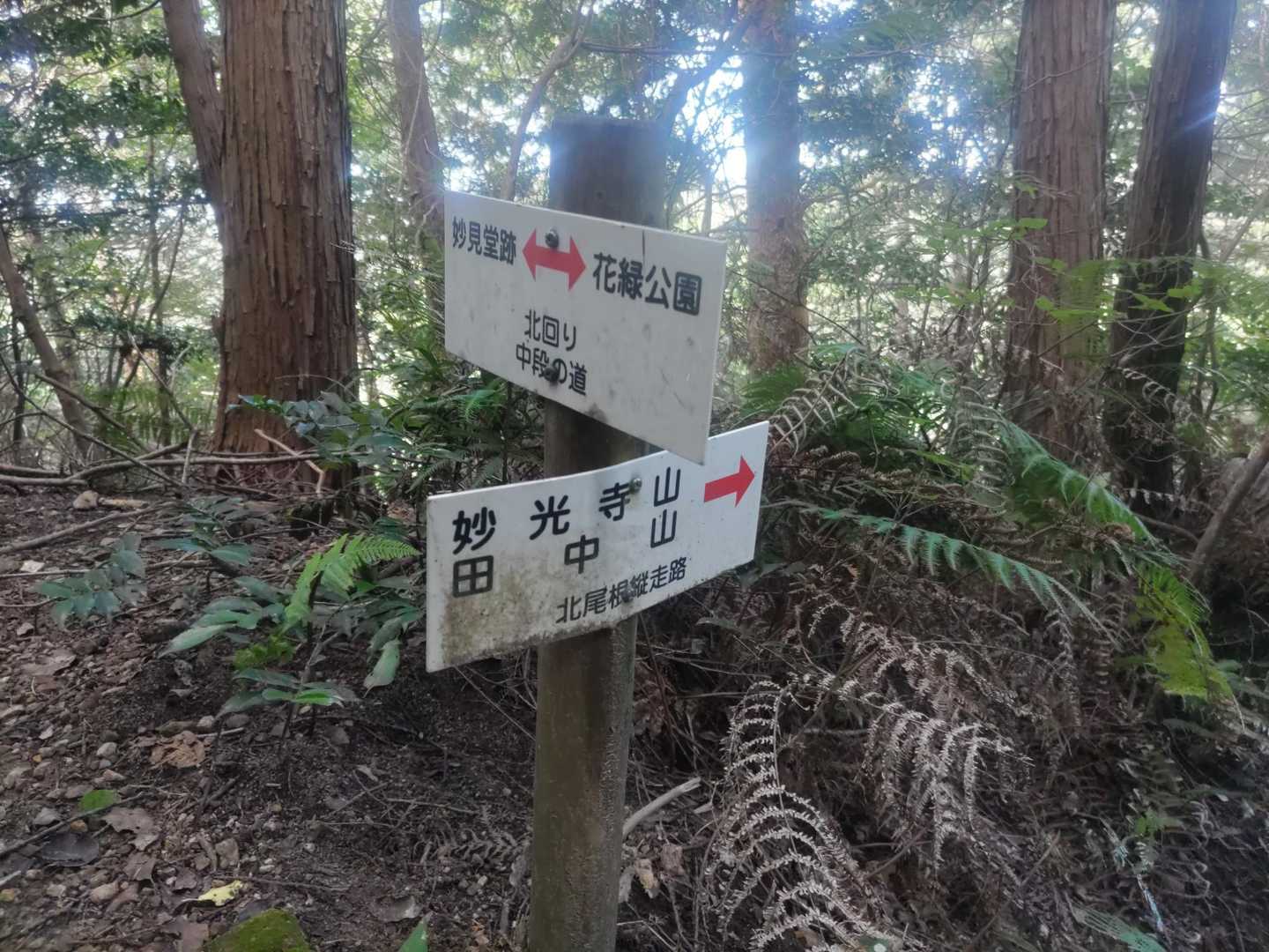 前回はこの分岐を
田中山の方へ進み
旗振山（283ｍ）まで縦走しました
ボッチで
紙地図とコンパスだけでよくいきましたね