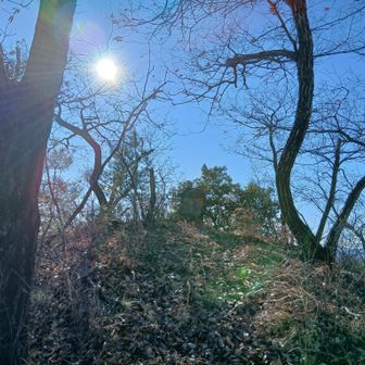 日差しが物凄い