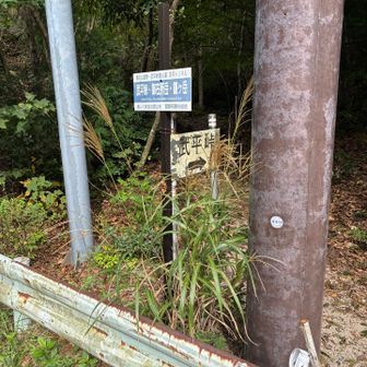 武平峠(三重県側)の駐車場に車を止めてスタート