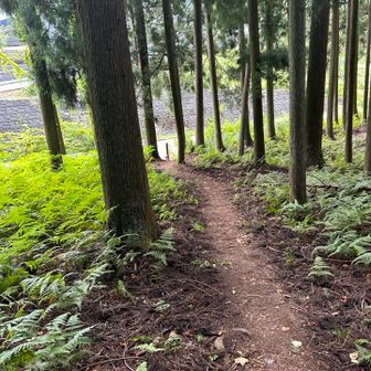 無事に戻りました。駐車場はパンパンでした。早く来て正解でしたね👍

花のおかげで色んな方と話す機会ができたので良い山行になりました。