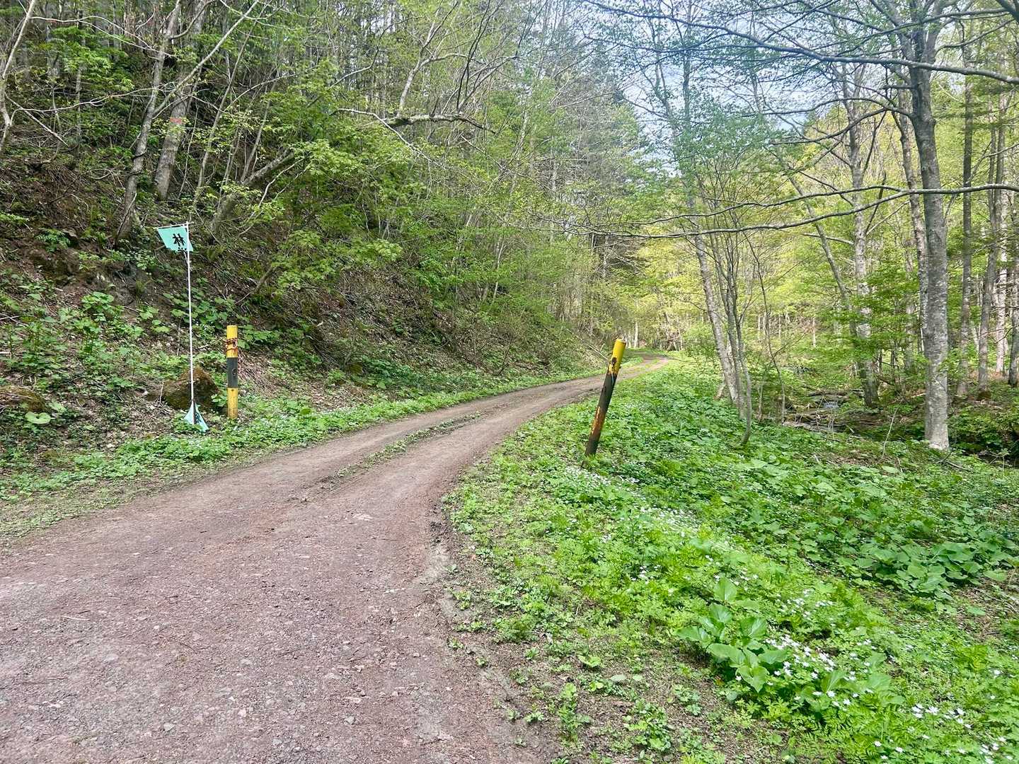 奥新道コースへ