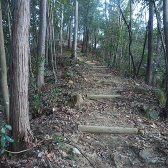 脚が重い
もう、ピークハントなんてしたくないんだけど