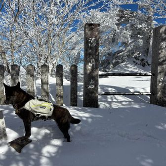 登頂しました。