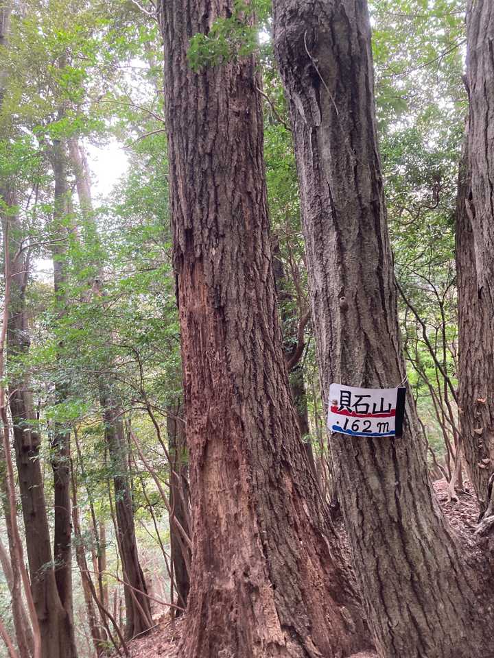 貝石山⛰