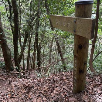 益影の井
「五所秘水」の一つだが行く気力なくスキップ