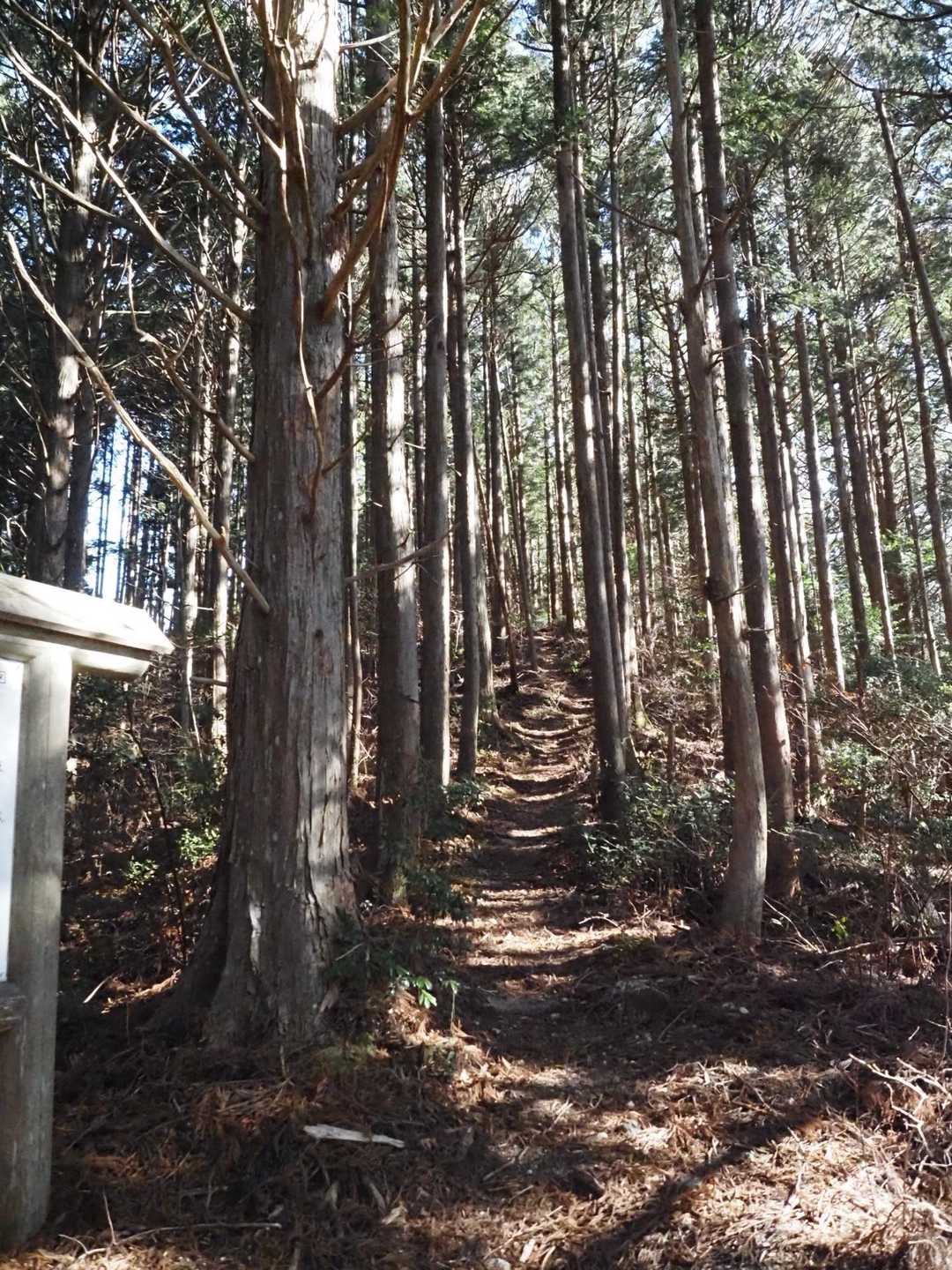 もうちょいかな