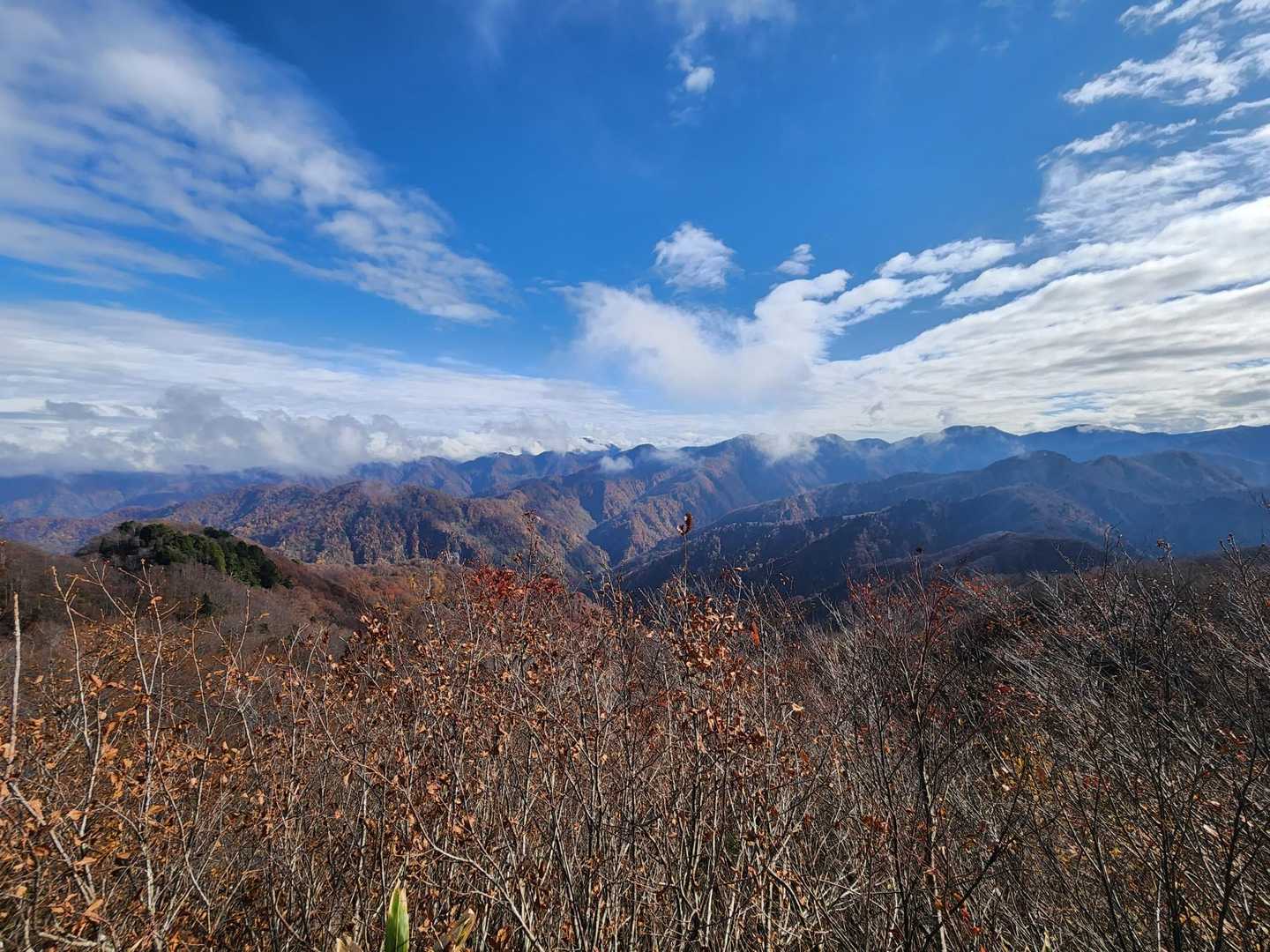 口三方岳 往復コースの写真
