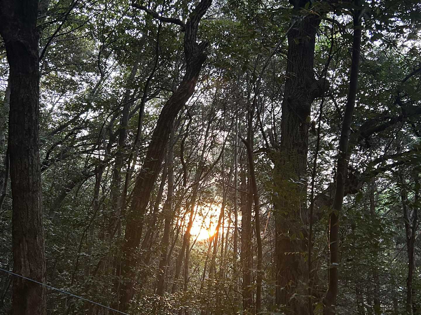 朝陽☀️