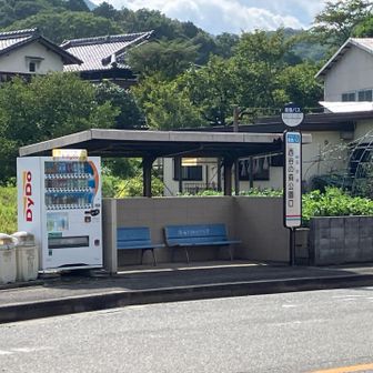 下山して田舎道を抜けてゴール・・・と思いきや