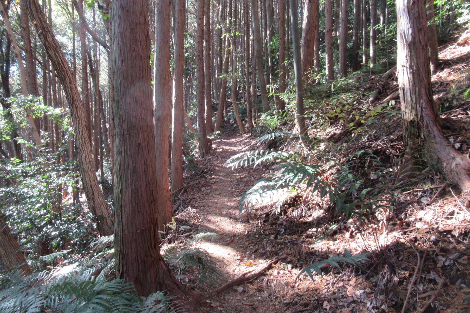 なだらかです❗