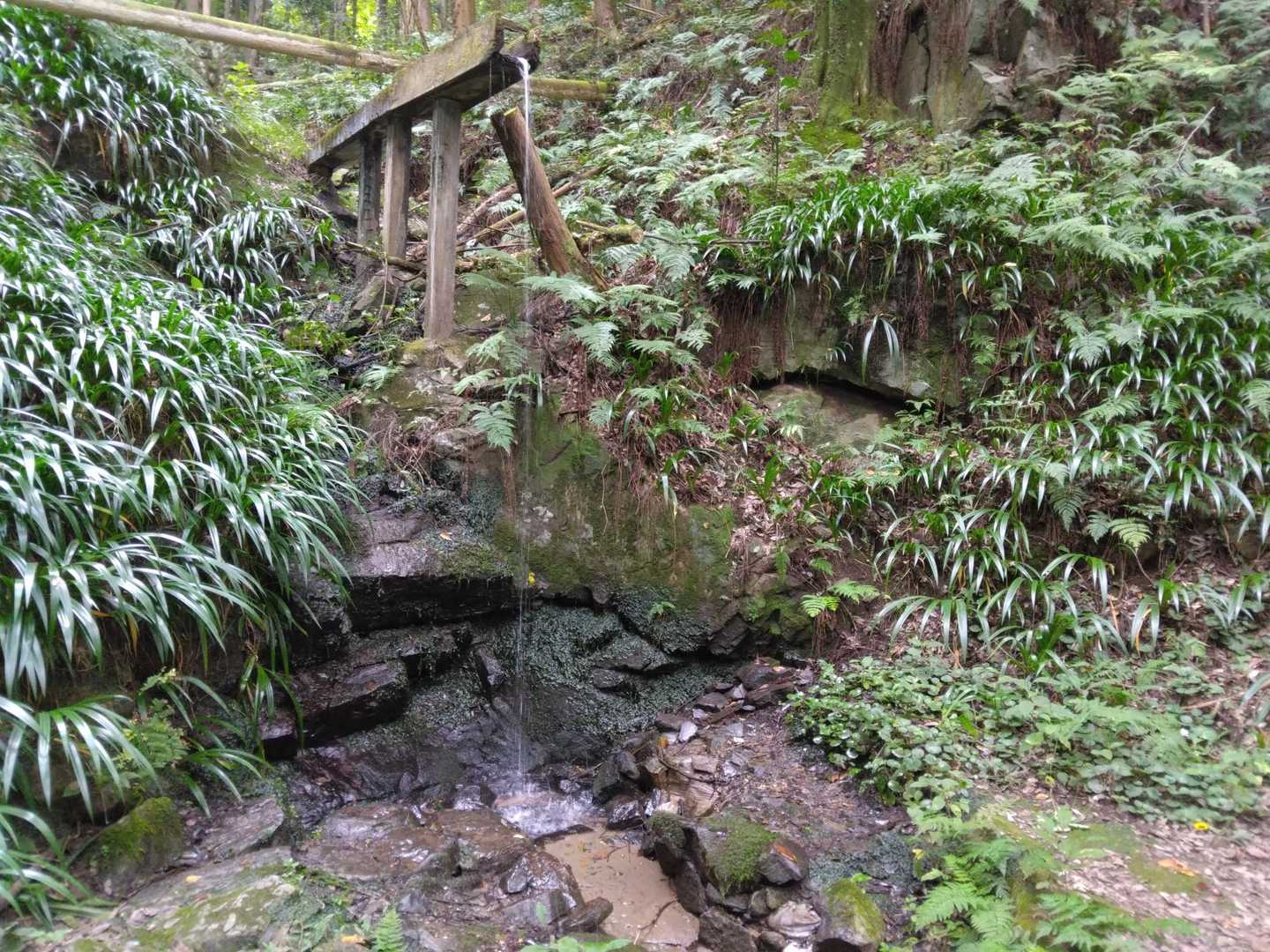 水場