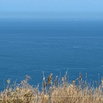 この海の49km先に沖津宮が有ります
見える？👀